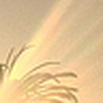 Profile Picture of Frank Silva (@chicoart2013) on Flickr