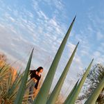 Kimberli Navarro - Instagram Profile Picture of Kimberli Navarro (@kna_varro099) on Instagram