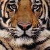 Profile Picture of Todd Schexnayder (@todd.schexnayder.9) on Facebook
