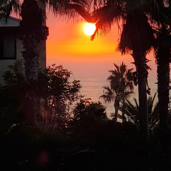 Profile Picture of Donna Ertle (@donnny32) on Poshmark