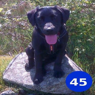 Profile Picture of Robert MacKenzie (@robhmac) on Twitter