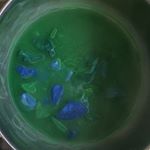 Profile Picture of Giulia Dozzio (@juliadzz) on Instagram