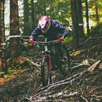 Profile Picture of Adam Šproch FRSC (@3jdmtbfrsc) on Instagram