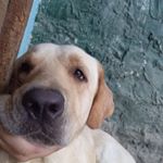 Profile Picture of Scott Jimenez (@scott.jimenez.359) on Instagram