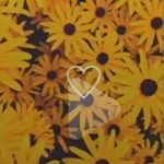 Profile Picture of Kaylee krillies (@kpawys) on Instagram