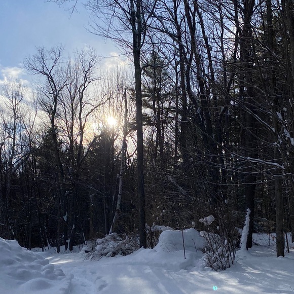 Profile Picture of Abby Lowe (@abbyl412) on Poshmark