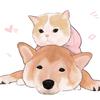 Profile Picture of Gấu yêu (@@moorefreeman0) on Tiktok