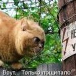 Profile Picture of Laurel Tanner (@izwunbemvtcoyjdx198fbvywx198) on Instagram