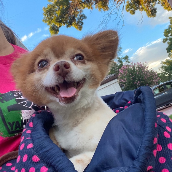 Profile Picture of Rosa Gonzalez (@rosagonz1776) on Poshmark