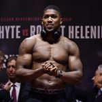 Profile Picture of Joshua Anthony (@boxer_anthony) on Instagram