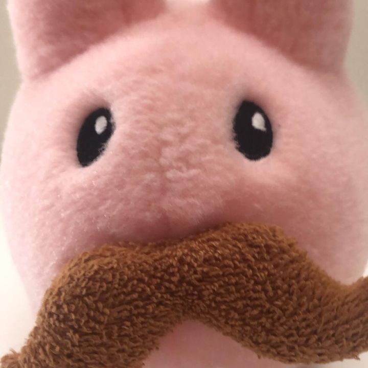 Profile Picture of 🪁Neal🪁 (@nealsworld) on Tiktok