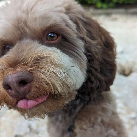 Profile Picture of Parker 405 (@_parkerconway) on Tiktok