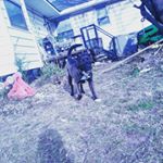 Profile Picture of alexus Carpenter (@alexuscarpent) on Instagram