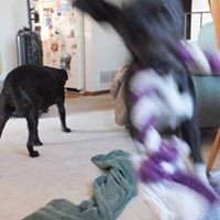 Profile Picture of Scott Greenman (@scott-greenman-2) on Quora