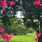 Profile Picture of Marce Rodriguez (@Marce-Rodriguez) on Facebook