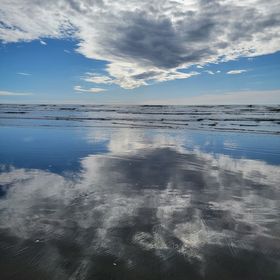 Profile Picture of Janee Endicott (@janeem43) on Pinterest