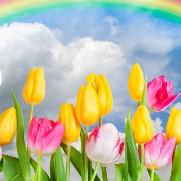 Profile Picture of Gloria Rudacille (@giggles52) on Poshmark