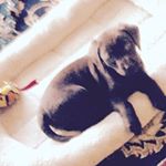 Profile Picture of Seanscar (@seanscarbro) on Instagram