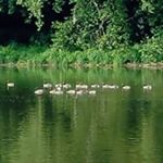 Profile Picture of Tina Mabe (@tina.mabe) on Instagram