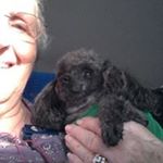 Profile Picture of Donna Hull (@donnahull4) on Instagram