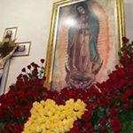 Profile Picture of Maria Esquer (@esquer_maria) on Instagram