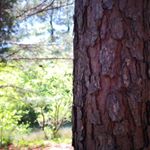 Profile Picture of kaitlyn tobin (@tobin_dax) on Instagram