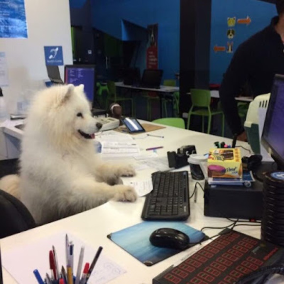 Profile Picture of Yiling L (@asterous) on Poshmark