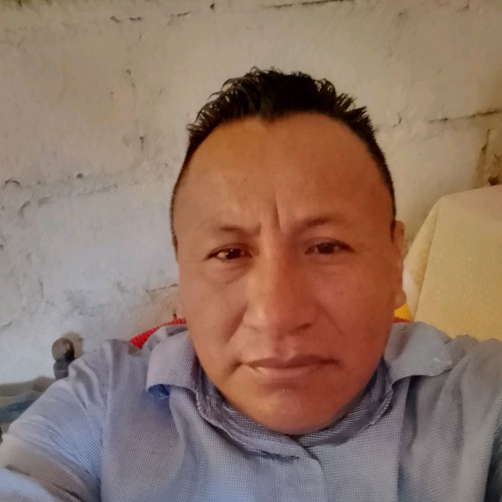 Profile Picture of chipol (@chipol45) on Tiktok