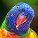 Profile Picture of Aaron Everson (@aaronweverson) on Pinterest