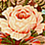 Profile Picture of Shelly Olivadoti (@BloomingCouture) on Flickr