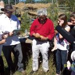 Profile Picture of Nancy Negus (@nancy.negus) on Instagram