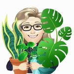 Profile Picture of Cindy C Caverley (@cchristalcave) on Instagram