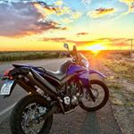 Profile Picture of daniel nestle (@daniel_nestle) on Instagram