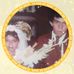 Profile Picture of Wilbert Garrido (@wilbert.garrido.39) on Facebook