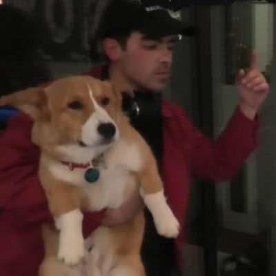 Profile Picture of Joe And Percy Dancing To (@JoeAndPercy) on Twitter