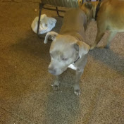 Profile Picture of Marc Wall (@marcwall4891) on Youtube