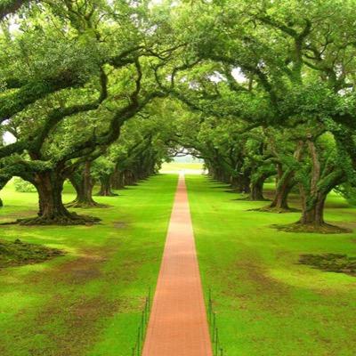 Profile Picture of Joe Kuhlmann (@6725Joe) on Twitter