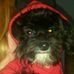 Profile Picture of Ivan Gill (@ivan.gill.31) on Facebook