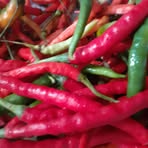 Profile Picture of Bundy Rina (@Bundy-Rina) on Facebook