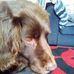 Profile Picture of Edith Edwards (@edith.edwards.3323) on Facebook