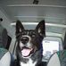 Profile Picture of Walter Clemente (@walter.clemente.509) on Facebook
