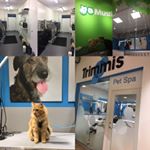 Profile Picture of Trimmis (@trimmispetspa_musti) on Instagram