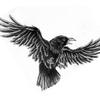 Profile Picture of Kenny Crow (@thekennycrow) on Tiktok