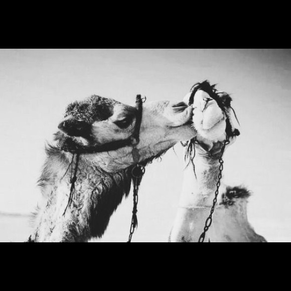 Profile Picture of Cortney Dusel (@cortneydusel) on Poshmark