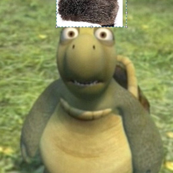 Profile Picture of Eli Potteiger (@elipotts553) on Poshmark