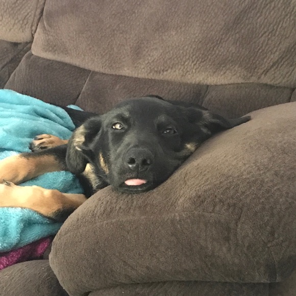 Profile Picture of Zach Miller (@millerz9) on Poshmark