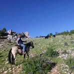 Profile Picture of Richard Tass (@richard.tass.9) on Facebook