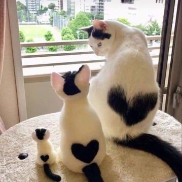 Profile Picture of Rui Vasconcelos (@RuiVasconcelo19) on Twitter