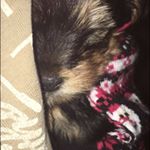 Profile Picture of Stella Mae Kotschegarow (@stella_kotsch) on Instagram