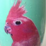 Profile Picture of Trinity Burgess (@trinity88824) on Instagram